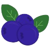 blueberry